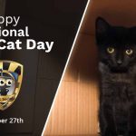 (Universal) October 27th National Black Cat Daypsd-min