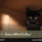 (Universal) October National Black Cat Day-min