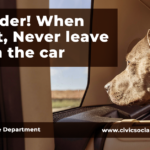 Don't Leave Pets in Cars