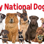 National Dog Day v4