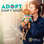 Adopt, Don't Shop